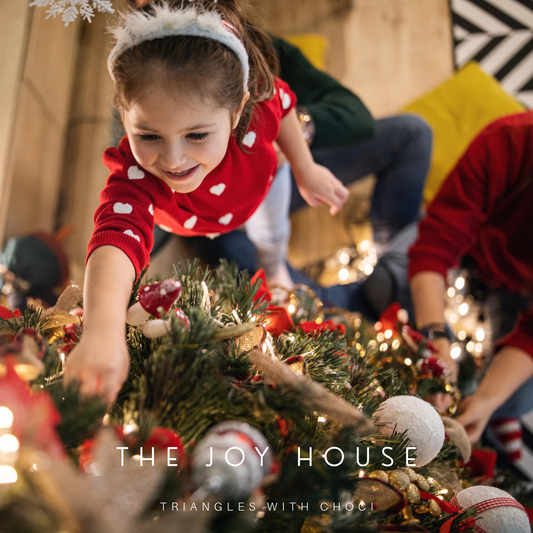 Trianlgeswithchoci - The Joy House